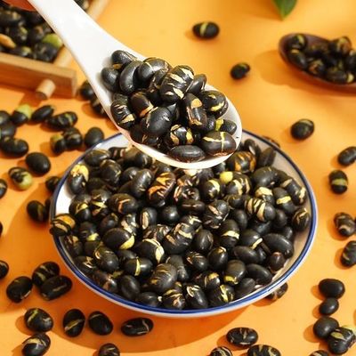 Out Of Direct Sunlight Fava Bean Snack with Pizze Flavor Nut Snacks