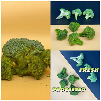 Crunchy Green Goodness Savory Vacuum Fried Broccoli Snacks Delights