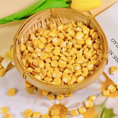 Premium Freeze-Dried Corn Kernels Golden Yellow High In Fiber Bulk Packaging