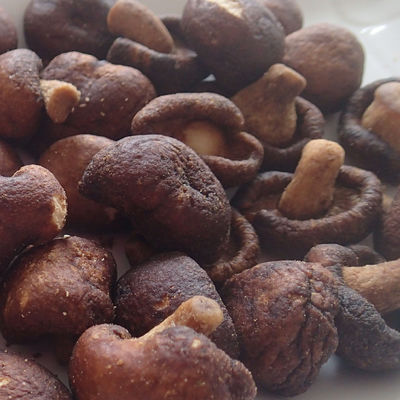 Bom preço Cor secada de Mini Mushroom Vacuum Not Add para crianças das mulheres gravidas on-line