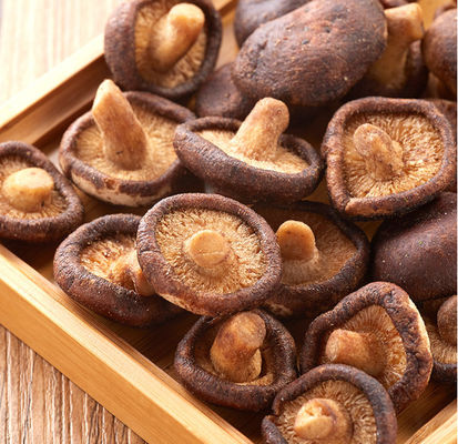 De Diepe Fried Mushrooms Sweet Healthy Vegetable Snacks van palmolieshiitake