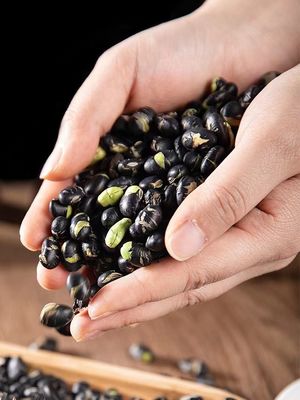 Out Of Direct Sunlight Fava Bean Snack with Pizze Flavor Nut Snacks