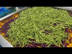 Dried Vegetables Mix With No Added Sugar Or Preservatives